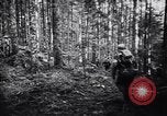 Image of 442nd Combat Team rescue of Lost Battalion France, 1944, second 50 stock footage video 65675037895