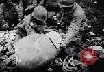 Image of 442nd Combat Team rescue of Lost Battalion France, 1944, second 54 stock footage video 65675037895