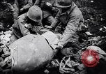 Image of 442nd Combat Team rescue of Lost Battalion France, 1944, second 55 stock footage video 65675037895