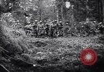 Image of 442nd Combat Team rescue of Lost Battalion France, 1944, second 57 stock footage video 65675037895