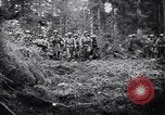 Image of 442nd Combat Team rescue of Lost Battalion France, 1944, second 58 stock footage video 65675037895