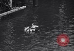 Image of U.S. Merchant Marine commemoration ceremony New York City USA, 1944, second 30 stock footage video 65675037906