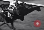 Image of Widener challenge Cup Classic Miami Florida USA, 1941, second 54 stock footage video 65675037917