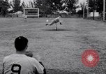 Standbild Cleveland Indians baseball team in Spring Training Fort Myers Florida USA, 1941, aus Sekunde 45 historischem Filmmaterial Videoclip 65675037922