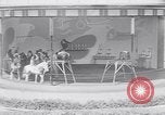 Immagine di Gli scimpanzé facendo trucchi Saint Louis Missouri USA, 1949, secondo 34 filmato di repertorio 65675037932