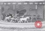 Immagine di Gli scimpanzé facendo trucchi Saint Louis Missouri USA, 1949, secondo 35 filmato di repertorio 65675037932