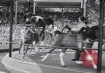 Immagine di Gli scimpanzé facendo trucchi Saint Louis Missouri USA, 1949, secondo 43 filmato di repertorio 65675037932