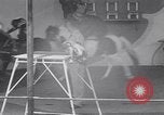 Immagine di Gli scimpanzé facendo trucchi Saint Louis Missouri USA, 1949, secondo 49 filmato di repertorio 65675037932