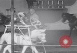 Immagine di Gli scimpanzé facendo trucchi Saint Louis Missouri USA, 1949, secondo 50 filmato di repertorio 65675037932