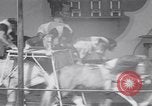 Immagine di Gli scimpanzé facendo trucchi Saint Louis Missouri USA, 1949, secondo 51 filmato di repertorio 65675037932