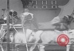 Immagine di Gli scimpanzé facendo trucchi Saint Louis Missouri USA, 1949, secondo 52 filmato di repertorio 65675037932