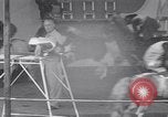 Immagine di Gli scimpanzé facendo trucchi Saint Louis Missouri USA, 1949, secondo 55 filmato di repertorio 65675037932