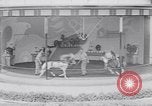 Immagine di Gli scimpanzé facendo trucchi Saint Louis Missouri USA, 1949, secondo 62 filmato di repertorio 65675037932