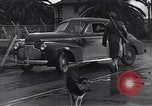 Image of German American relocation and internment United States USA, 1942, second 38 stock footage video 65675037935