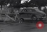 Image of German American relocation and internment United States USA, 1942, second 55 stock footage video 65675037935