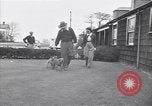 Standbild Mann und Frau mit zwei Hunden United States USA, 1948, aus Sekunde 12 historischem Filmmaterial Videoclip 65675037951