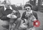 Standbild Mann und Frau mit zwei Hunden United States USA, 1948, aus Sekunde 17 historischem Filmmaterial Videoclip 65675037951