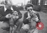 Standbild Mann und Frau mit zwei Hunden United States USA, 1948, aus Sekunde 19 historischem Filmmaterial Videoclip 65675037951