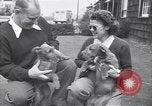Standbild Mann und Frau mit zwei Hunden United States USA, 1948, aus Sekunde 23 historischem Filmmaterial Videoclip 65675037951