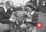 Standbild Mann und Frau mit zwei Hunden United States USA, 1948, aus Sekunde 24 historischem Filmmaterial Videoclip 65675037951