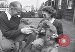 Standbild Mann und Frau mit zwei Hunden United States USA, 1948, aus Sekunde 25 historischem Filmmaterial Videoclip 65675037951