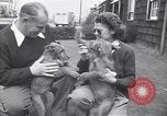 Standbild Mann und Frau mit zwei Hunden United States USA, 1948, aus Sekunde 26 historischem Filmmaterial Videoclip 65675037951