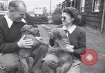 Standbild Mann und Frau mit zwei Hunden United States USA, 1948, aus Sekunde 27 historischem Filmmaterial Videoclip 65675037951