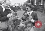 Standbild Mann und Frau mit zwei Hunden United States USA, 1948, aus Sekunde 28 historischem Filmmaterial Videoclip 65675037951