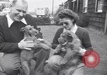 Standbild Mann und Frau mit zwei Hunden United States USA, 1948, aus Sekunde 29 historischem Filmmaterial Videoclip 65675037951