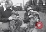 Standbild Mann und Frau mit zwei Hunden United States USA, 1948, aus Sekunde 30 historischem Filmmaterial Videoclip 65675037951