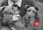 Standbild Mann und Frau mit zwei Hunden United States USA, 1948, aus Sekunde 32 historischem Filmmaterial Videoclip 65675037951