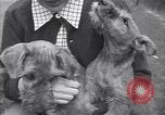 Standbild Mann und Frau mit zwei Hunden United States USA, 1948, aus Sekunde 33 historischem Filmmaterial Videoclip 65675037951