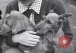 Standbild Mann und Frau mit zwei Hunden United States USA, 1948, aus Sekunde 34 historischem Filmmaterial Videoclip 65675037951