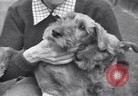 Standbild Mann und Frau mit zwei Hunden United States USA, 1948, aus Sekunde 36 historischem Filmmaterial Videoclip 65675037951