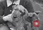 Standbild Mann und Frau mit zwei Hunden United States USA, 1948, aus Sekunde 37 historischem Filmmaterial Videoclip 65675037951