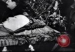 Image of Joseph Stalin Moscow Russia Soviet Union, 1944, second 51 stock footage video 65675037960