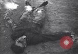 Image émeutes communiste l'Europe, 1949, de la seconde 10 séquences d'archives historiques vidéo 65675037968