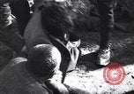 Image émeutes communiste l'Europe, 1949, de la seconde 19 séquences d'archives historiques vidéo 65675037968