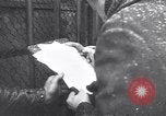 Image of Sir Bernard Law Montgomery Moscow Russia Soviet Union, 1948, second 11 stock footage video 65675037969