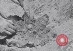 Standbild Crystal United States USA, 1940, aus Sekunde 18 historischem Filmmaterial Videoclip 65675037981