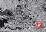 Standbild Crystal United States USA, 1940, aus Sekunde 21 historischem Filmmaterial Videoclip 65675037981