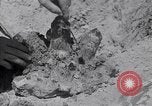 Standbild Crystal United States USA, 1940, aus Sekunde 22 historischem Filmmaterial Videoclip 65675037981
