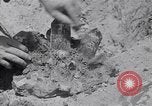 Standbild Crystal United States USA, 1940, aus Sekunde 23 historischem Filmmaterial Videoclip 65675037981
