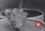 Standbild Crystal United States USA, 1940, aus Sekunde 39 historischem Filmmaterial Videoclip 65675037981