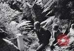 Image of Queen Elizabeth and Prince Philip visit caves New Zealand, 1954, second 11 stock footage video 65675037984