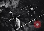 Image of Queen Elizabeth and Prince Philip visit caves New Zealand, 1954, second 42 stock footage video 65675037984