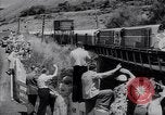 Image of Queen Elizabeth Wellington New Zealand, 1954, second 9 stock footage video 65675037985