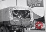 Image of Repatriation of Prisoners Korea, 1953, second 19 stock footage video 65675037986