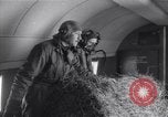 Immagine di Tempesta di neve Loch Eriboll Scotland Regno Unito, 1955, secondo 23 filmato di repertorio 65675037991