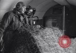 Immagine di Tempesta di neve Loch Eriboll Scotland Regno Unito, 1955, secondo 24 filmato di repertorio 65675037991